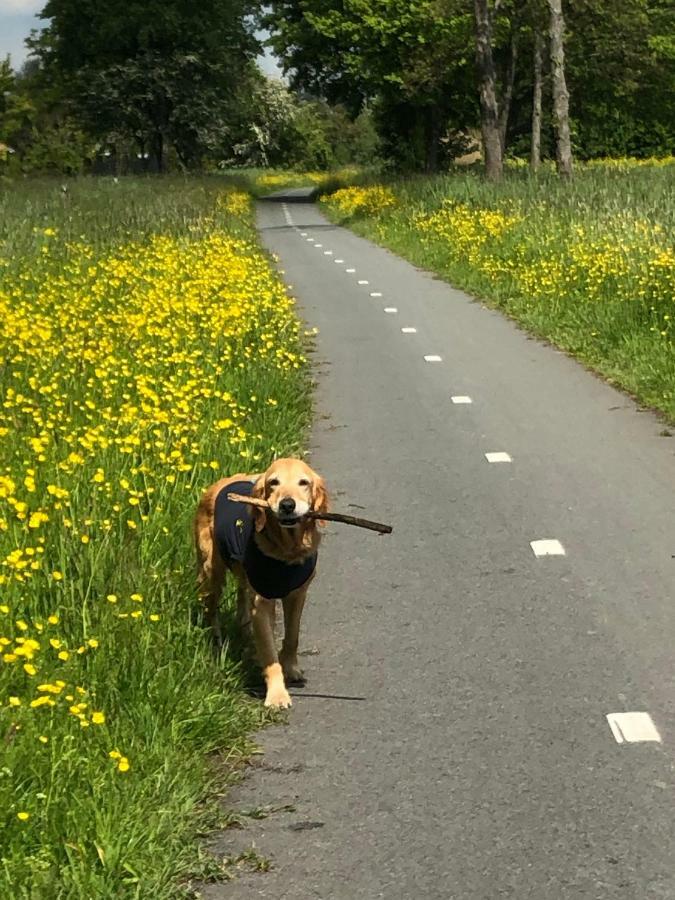 B&B Bloom Amsterdam Eksteriør billede