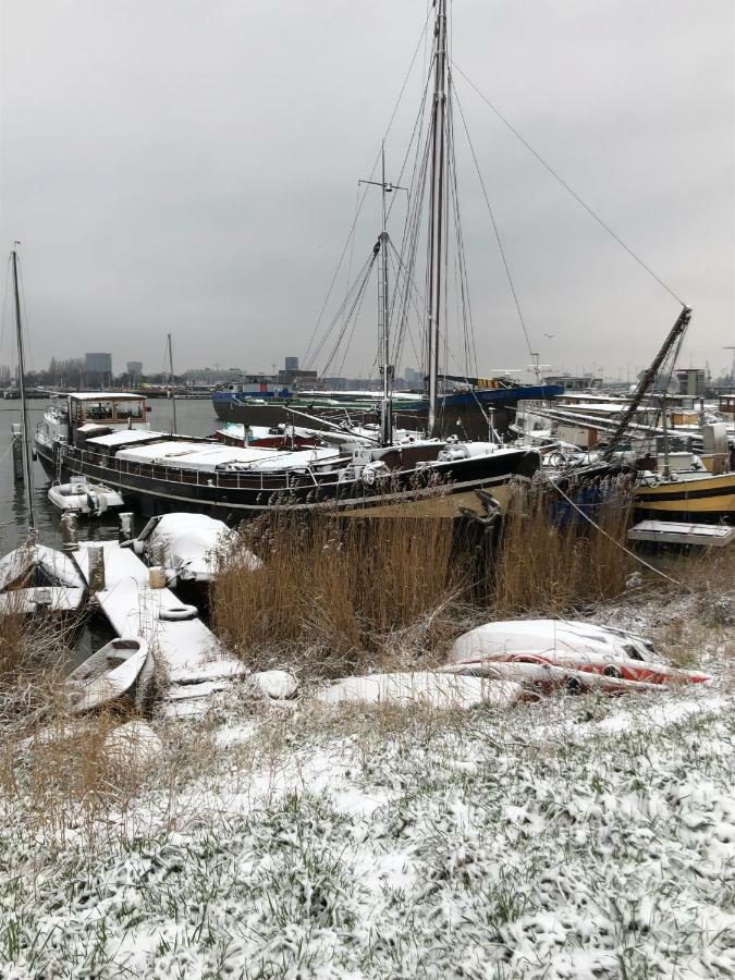 B&B Bloom Amsterdam Eksteriør billede